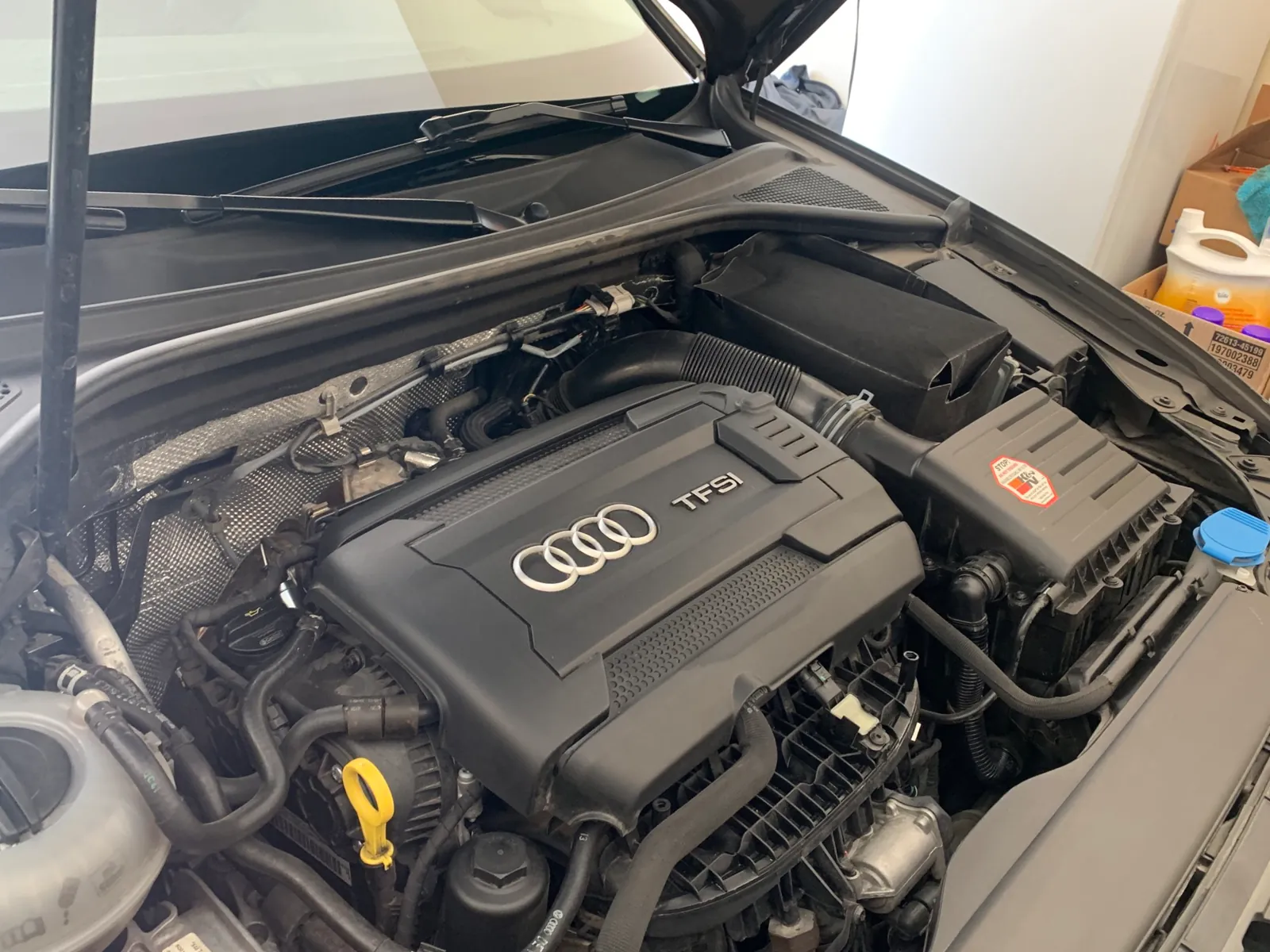 Audi A3 detail by Grime Reaper Detailing, photo 14